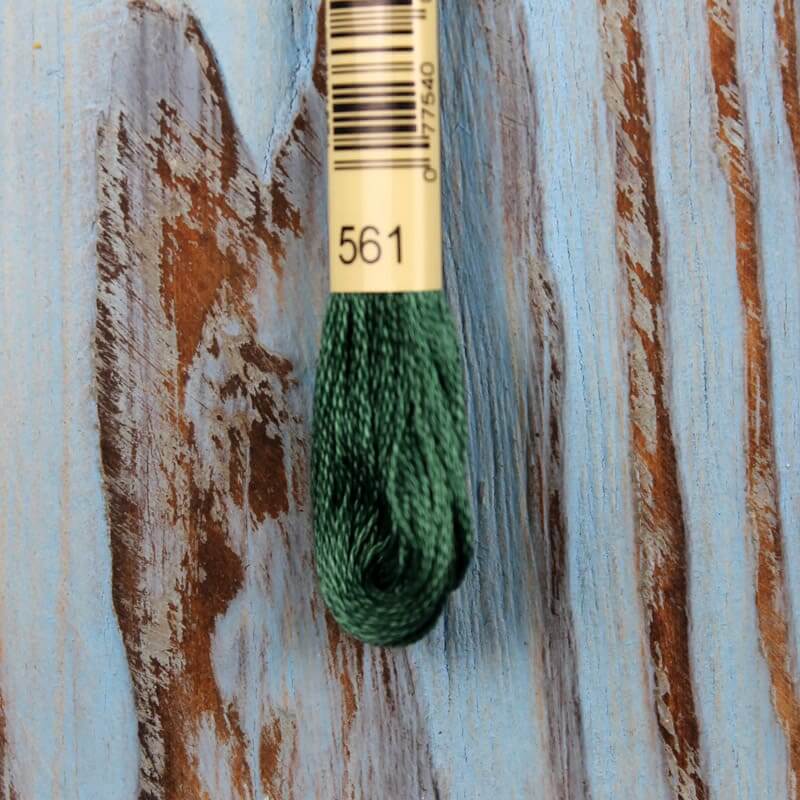 нитка дмс 561