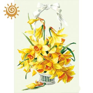 Корзинка нарцисів