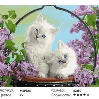Набір для малювання по номерах 40х50 Пухнасті котики MSP324 з підрамником
