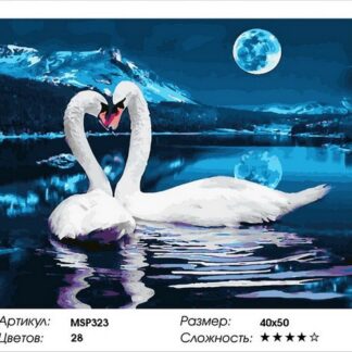 Набір для малювання за номерами 40х50 Пара лебедів MSP323 з підрамником