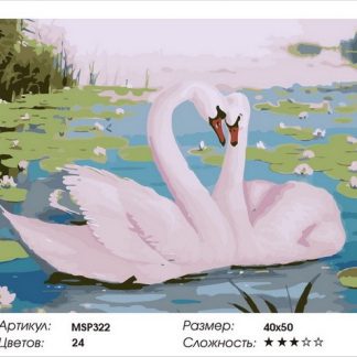 Набір для малювання за номерами 40х50 Пара лебедів MSP322 з підрамником