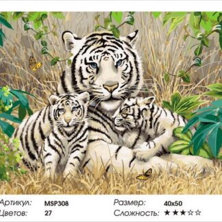 Набір малювання по номерах 40х50 Білі тигри MSP308 з підрамником