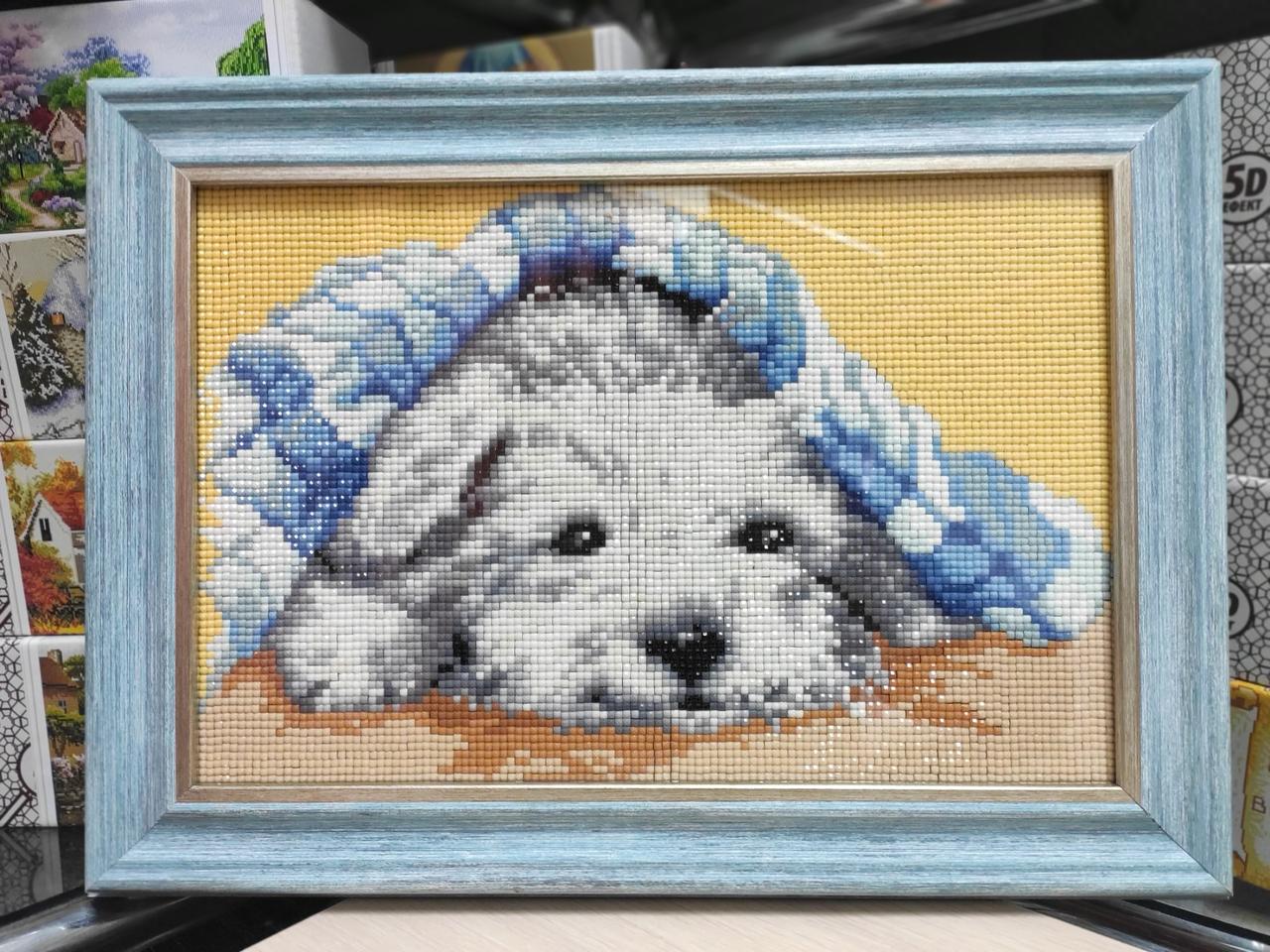 Набір алмазної мозаїки 20х30 Собачка DT701 - Зображення 6