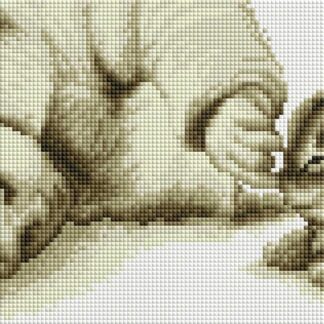 Набір алмазної мозаїки 20х30 Хлопчик і кошеня DT719