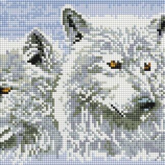 Набір алмазної мозаїки 20х30 Пара вовків DT715