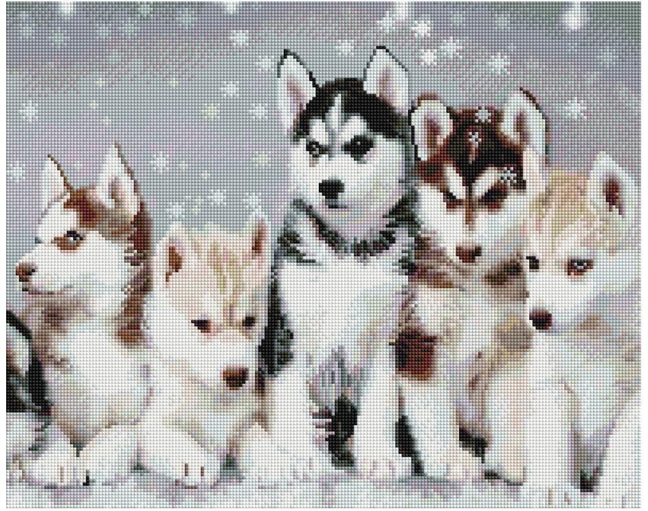 Набір алмазної мозаїки Хаскі 40х50 SP092 - Зображення 2