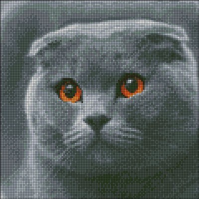 Набір алмазної мозаїки Кішка британської породи 30х30 АМП-136