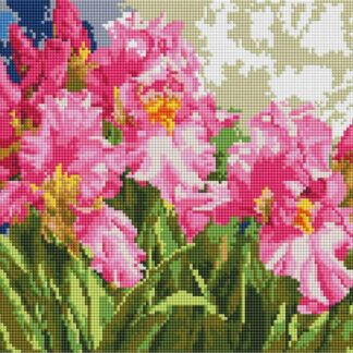 Алмазна мозаїка Рожеві іриси 30х40 ST466