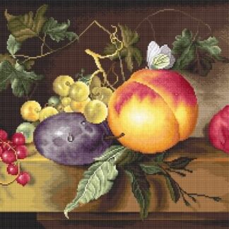 Набір для вишивання хрестиком B593 Натюрморт (B593)