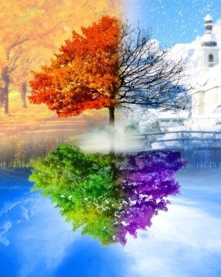 Набір алмазної мозаїки 40х50 Пори року SP038