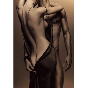 Набір алмазної мозаїки 40х50 Пристрасть SP063