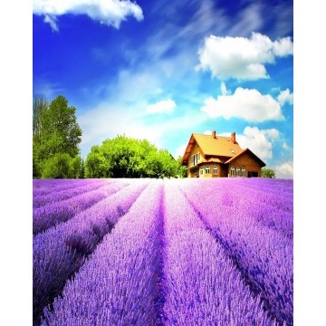Набір алмазної мозаїки Лавандове поле 40х50 SP097
