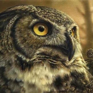 Алмазна мозаїка 40x50 Сова SP110