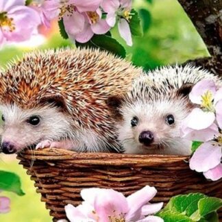 Діамантова мозаїка Їжачки у кошику 30х40 ST474