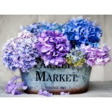 Алмазна мозаїка Квіти гортензії 30х40 ST467