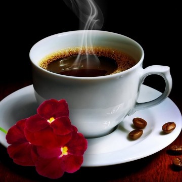 Набір алмазної мозаїки 20х20 Ранкова кава DD1202