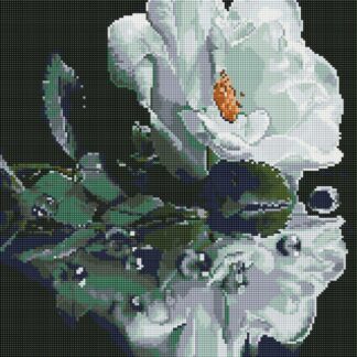 Алмазна мозаїка 40х50 Біла троянда SP123