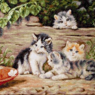 Набір для вишивання хрестиком Кішки (B556)