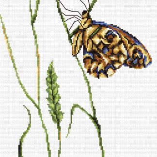 Набір для вишивання хрестиком B2245 Дух літа (B2245)