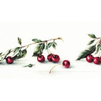 Набір для вишивання хрестиком B2252 Вишня (B2252)