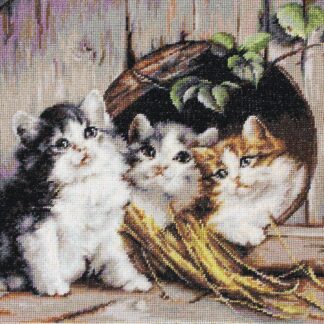 Набір для вишивання хрестиком B520 Дружній притулок (B520)