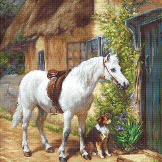 Набір для вишивання хрестиком Біля будиночка (B572)