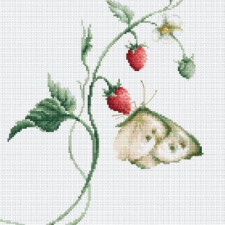 Набір для вишивання хрестиком B2268 Аромат лета (B2268)